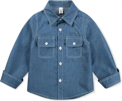 Denim Button-Down Shirt, product photo